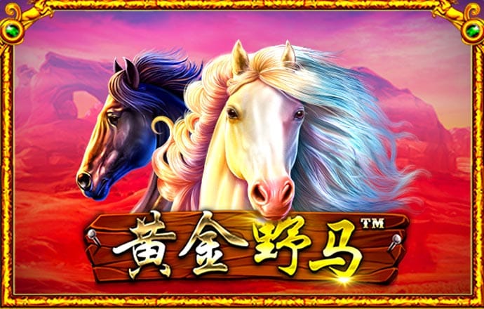 5297娱乐app最新版亮点